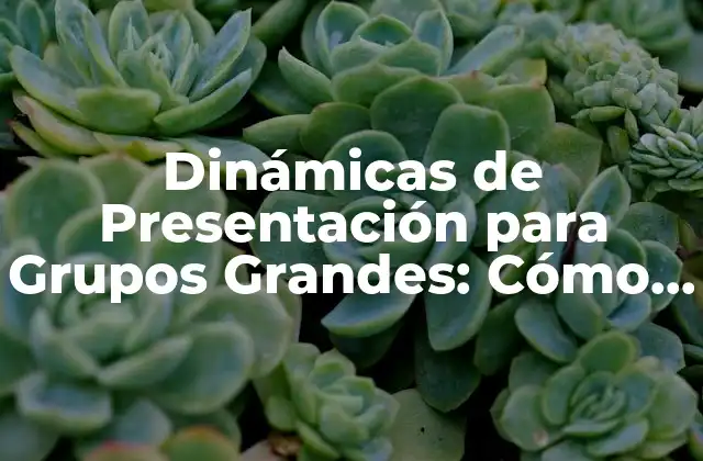 Dinámicas de Presentación para Grupos Grandes: Cómo Enganchar a Tu Audiencia