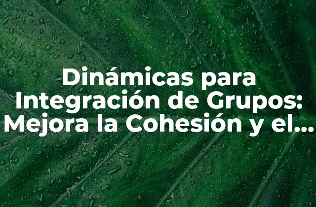 Dinámicas para Integración de Grupos: Mejora la Cohesión y el Trabajo en Equipo