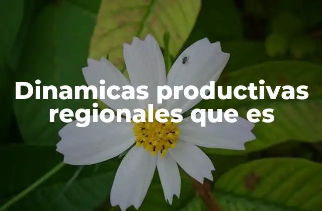Dinamicas Productivas Regionales que es
