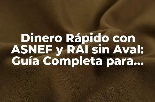 Dinero Rápido con Asnef y Rai sin Aval: Guía Completa para Obtener Créditos
