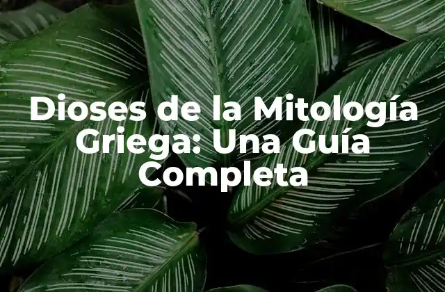 Dioses de la Mitología Griega: una Guía Completa 2 ¿Quiénes son los Dioses del Olimpo?