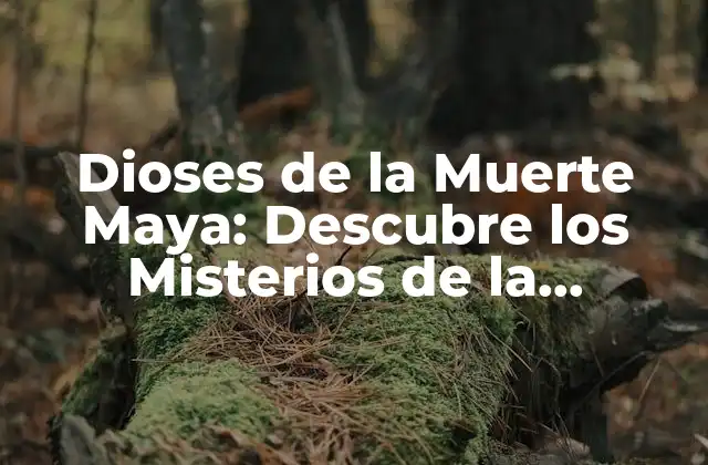 Dioses de la Muerte Maya: Descubre los Misterios de la Mitología Maya