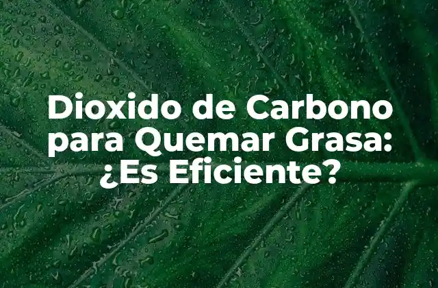 Dioxido de Carbono para Quemar Grasa: ¿es Eficiente?
