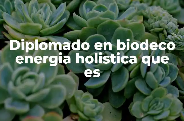 Diplomado en Biodeco Energia Holistica que es