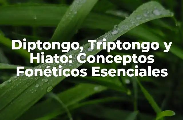 Diptongo, Triptongo y Hiato: Conceptos Fonéticos Esenciales