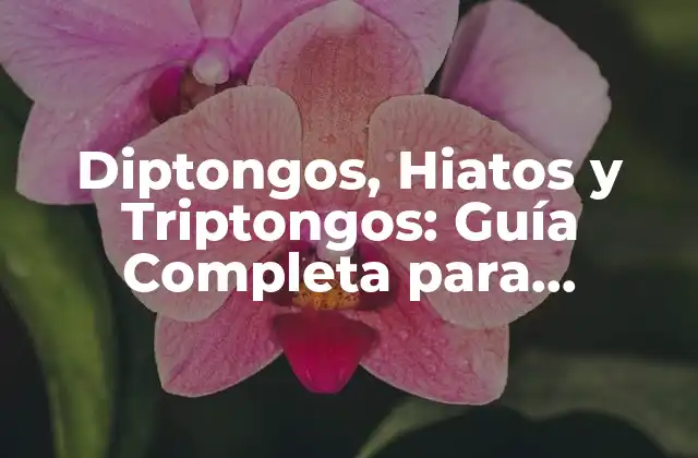 Diptongos, Hiatos y Triptongos: Guía Completa para Maestros y Estudiantes de Lengua Española