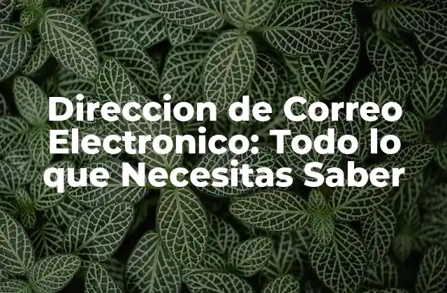 ¿Qué es una Dirección de Correo Electrónico?