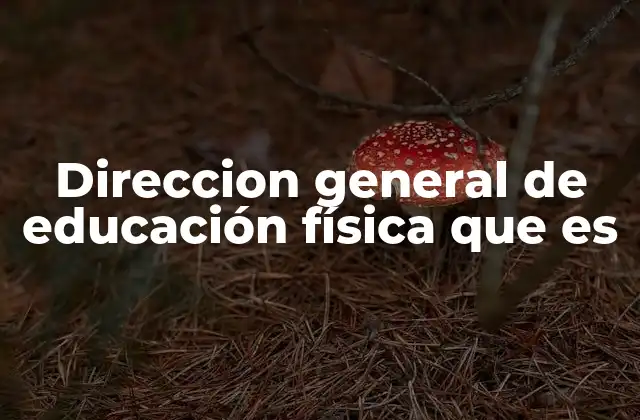 Direccion General de Educación Física que es