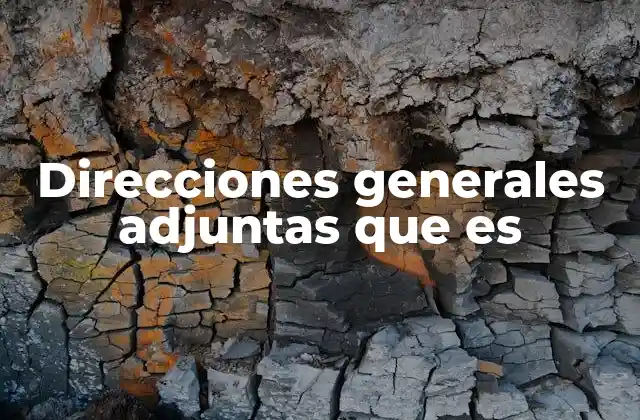 El rol de las direcciones generales adjuntas en la estructura organizacional