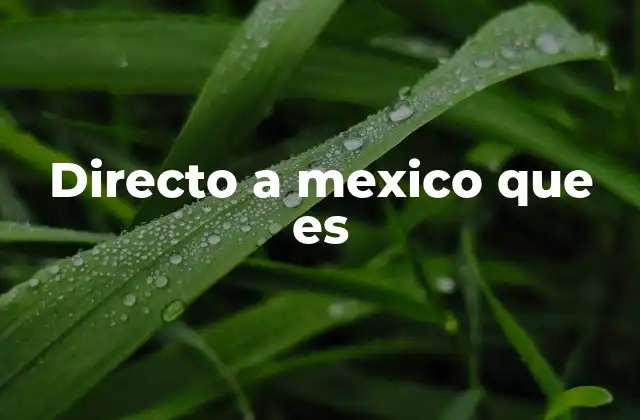 Directo a Mexico que es