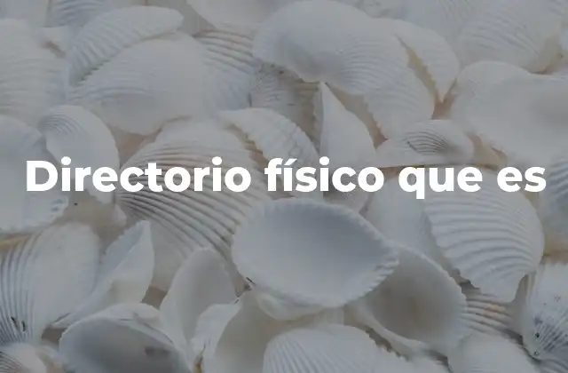 La importancia de la organización en la gestión de archivos