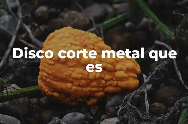 Disco Corte Metal que es