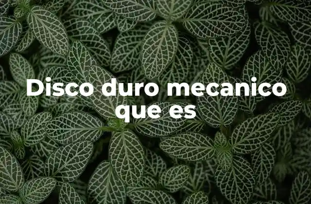 Disco Duro Mecanico que es