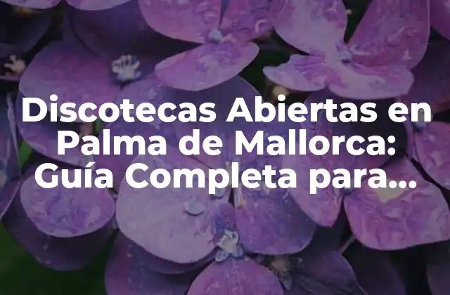 Discotecas Abiertas en Palma de Mallorca: Guía Completa para una Noche Inolvidable