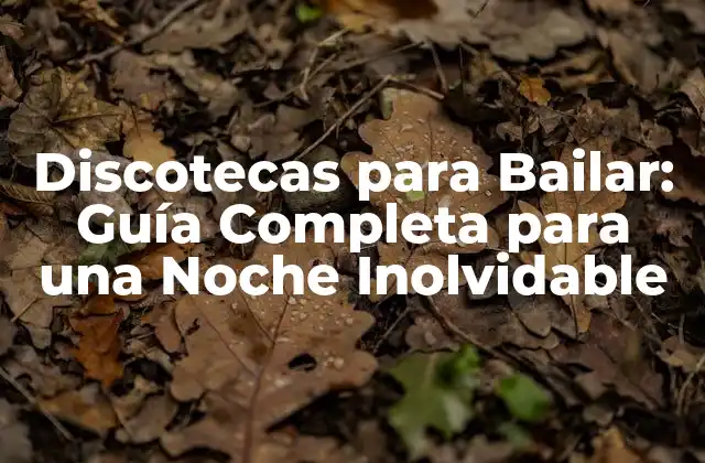 Discotecas para Bailar: Guía Completa para una Noche Inolvidable