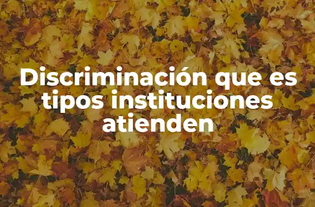 Discriminación que es Tipos Instituciones Atienden