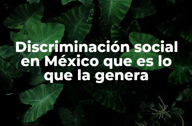 Discriminación Social en México que es Lo que la Genera