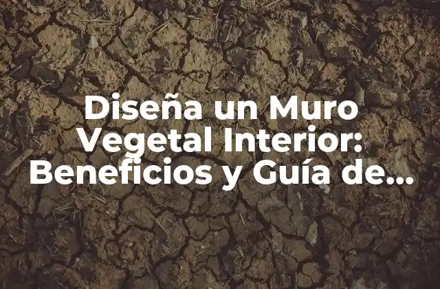 Diseña un Muro Vegetal Interior: Beneficios y Guía de Creación