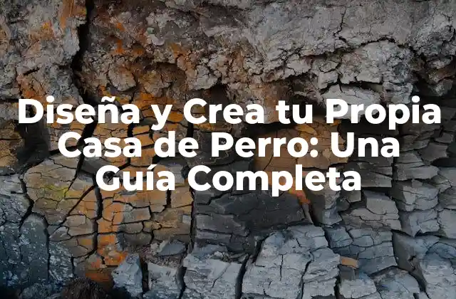 Diseña y Crea Tu Propia Casa de Perro: una Guía Completa