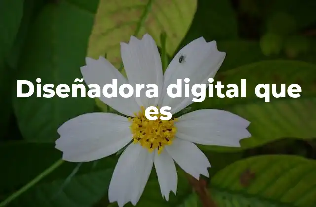 Diseñadora Digital que es 2 El rol de la creatividad en el diseño digital