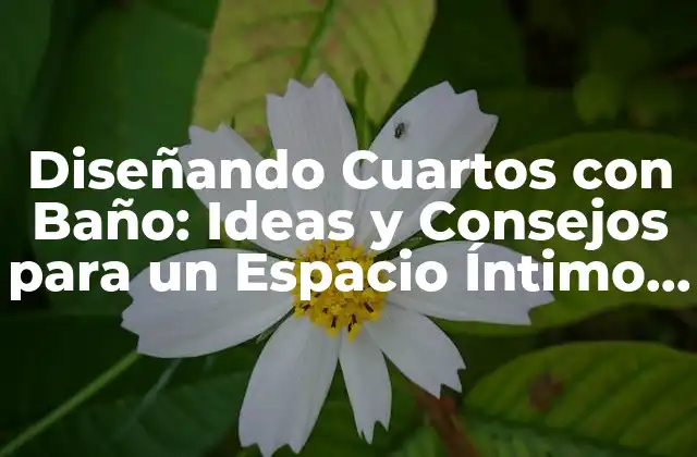 Diseñando Cuartos con Baño: Ideas y Consejos para un Espacio Íntimo y Funcional