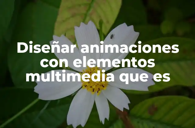 Diseñar Animaciones con Elementos Multimedia que es