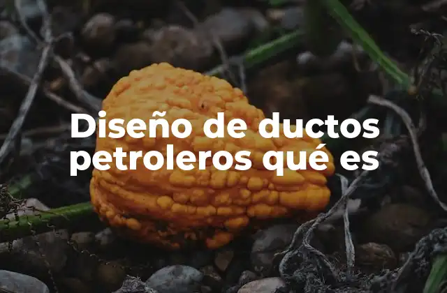 Diseño de Ductos Petroleros Qué es