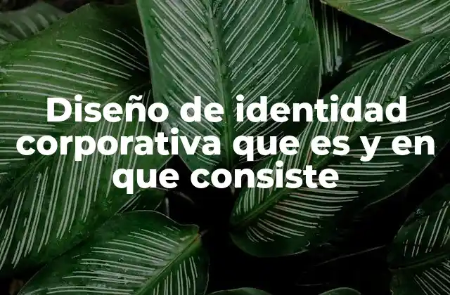 Diseño de Identidad Corporativa que es y en que Consiste