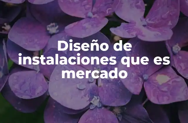 Diseño de Instalaciones que es Mercado