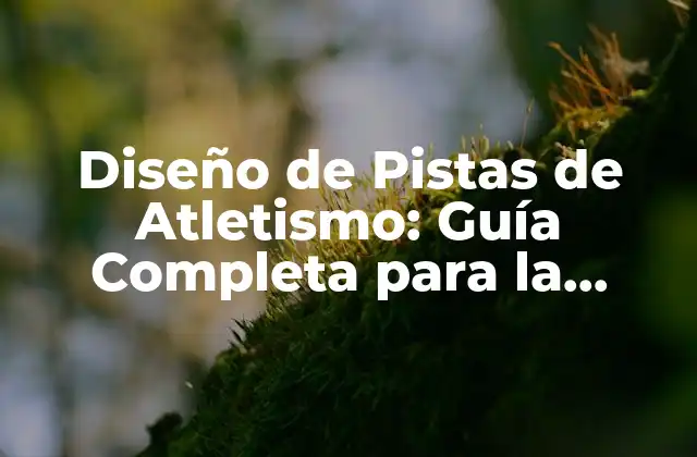 Diseño de Pistas de Atletismo: Guía Completa para la Creación de Instalaciones Deportivas
