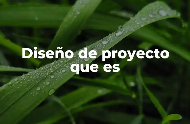 Diseño de Proyecto que es