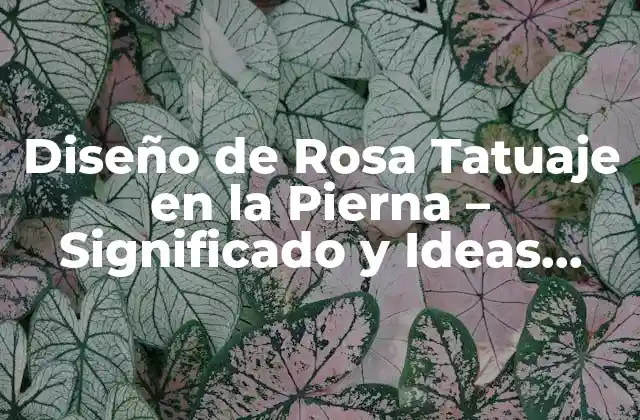 Diseño de Rosa Tatuaje en la Pierna – Significado y Ideas Inspiradoras
