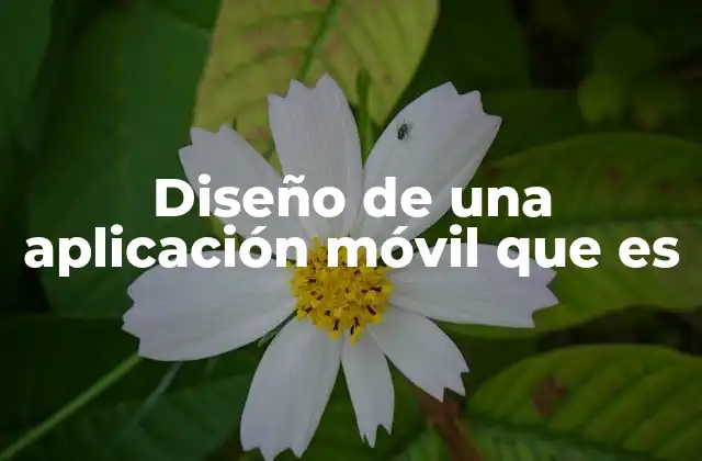 Diseño de una Aplicación Móvil que es