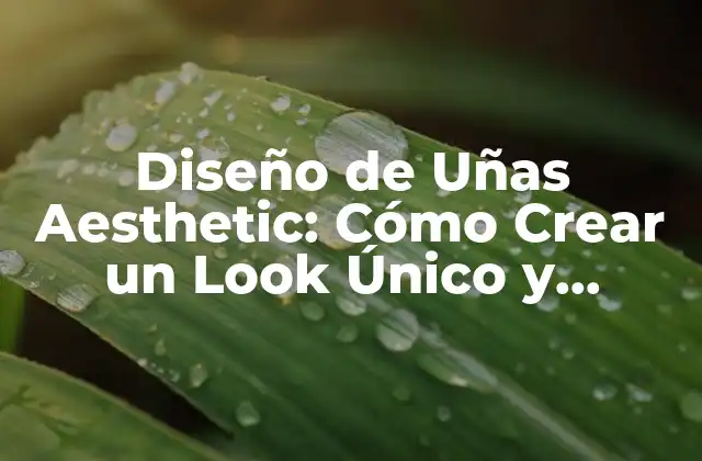 Diseño de Uñas Aesthetic: Cómo Crear un Look Único y Tendencia