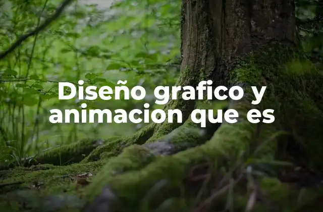 Diseño Grafico y Animacion que es