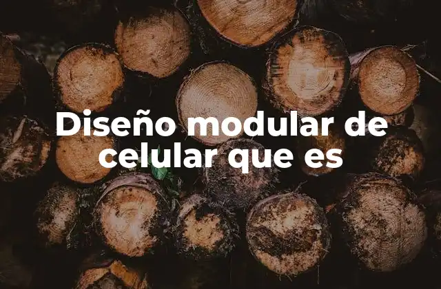 Diseño Modular de Celular que es