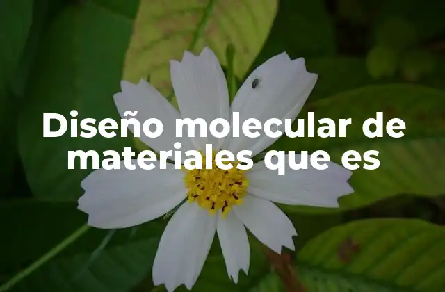 Diseño Molecular de Materiales que es