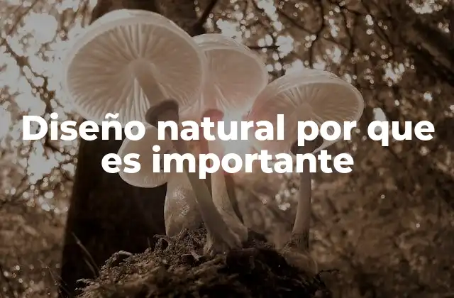 Diseño Natural por que es Importante