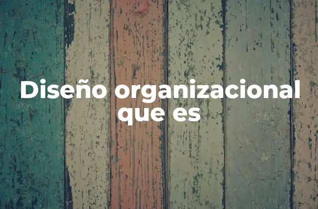Diseño Organizacional que es