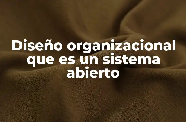 Diseño Organizacional que es un Sistema Abierto