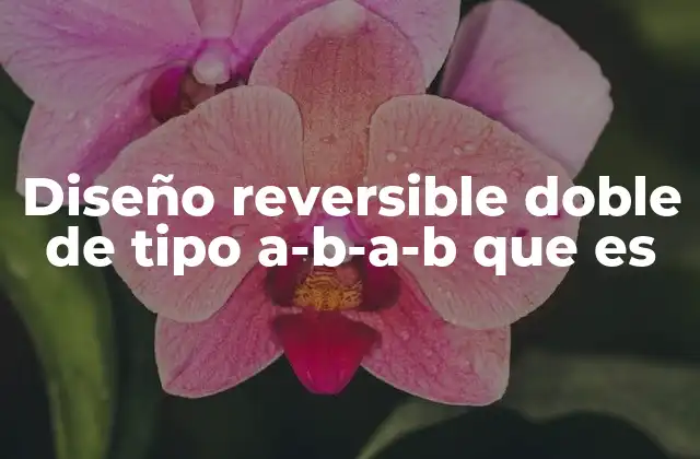 Diseño Reversible Doble de Tipo A-b-a-b que es