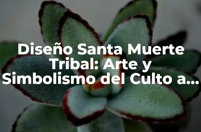 Diseño Santa Muerte Tribal: Arte y Simbolismo Del Culto a la Catrina