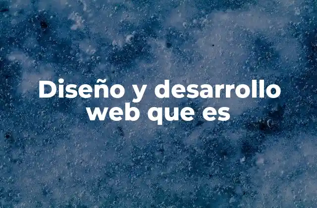 Diseño y Desarrollo Web que es