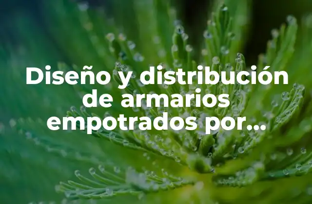 Diseño y Distribución de Armarios Empotrados por Dentro: Cómo Optimizar el Espacio