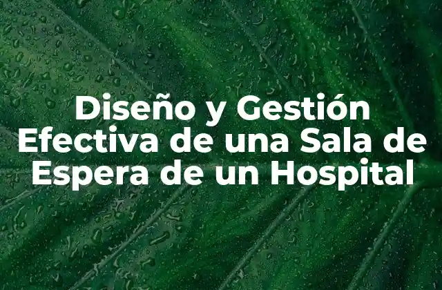 Diseño y Gestión Efectiva de una Sala de Espera de un Hospital