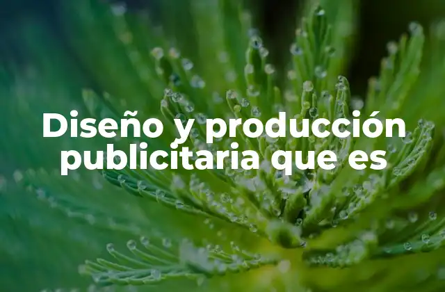 Diseño y Producción Publicitaria que es