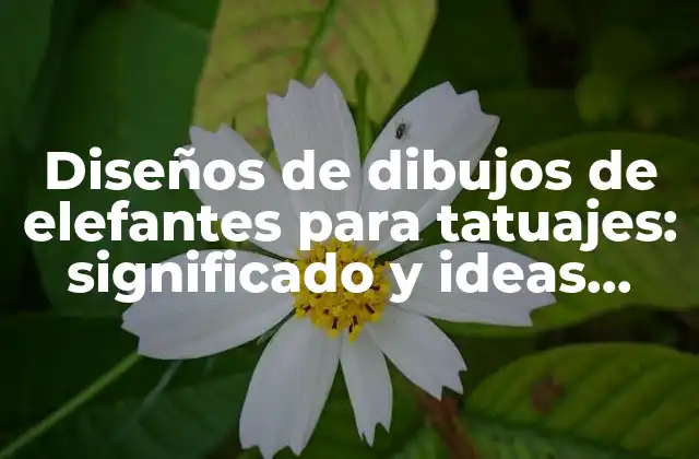Diseños de Dibujos de Elefantes para Tatuajes: Significado y Ideas Inspiradoras