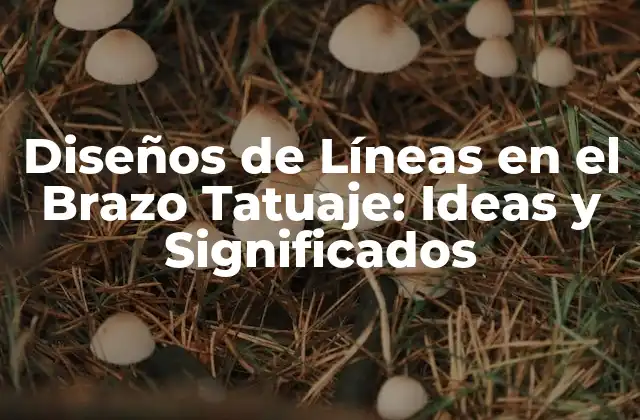 Diseños de Líneas en el Brazo Tatuaje: Ideas y Significados