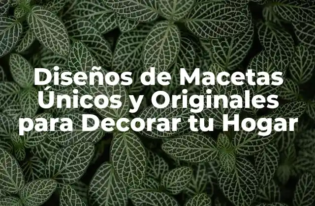 Diseños de Macetas Únicos y Originales para Decorar Tu Hogar 2 Tipos de Diseños de Macetas