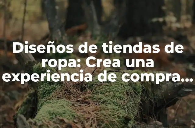 Diseños de Tiendas de Ropa: Crea una Experiencia de Compra Única